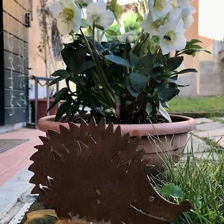 Locanda Del Glis Glis Castelletto d'Orba Exterior foto